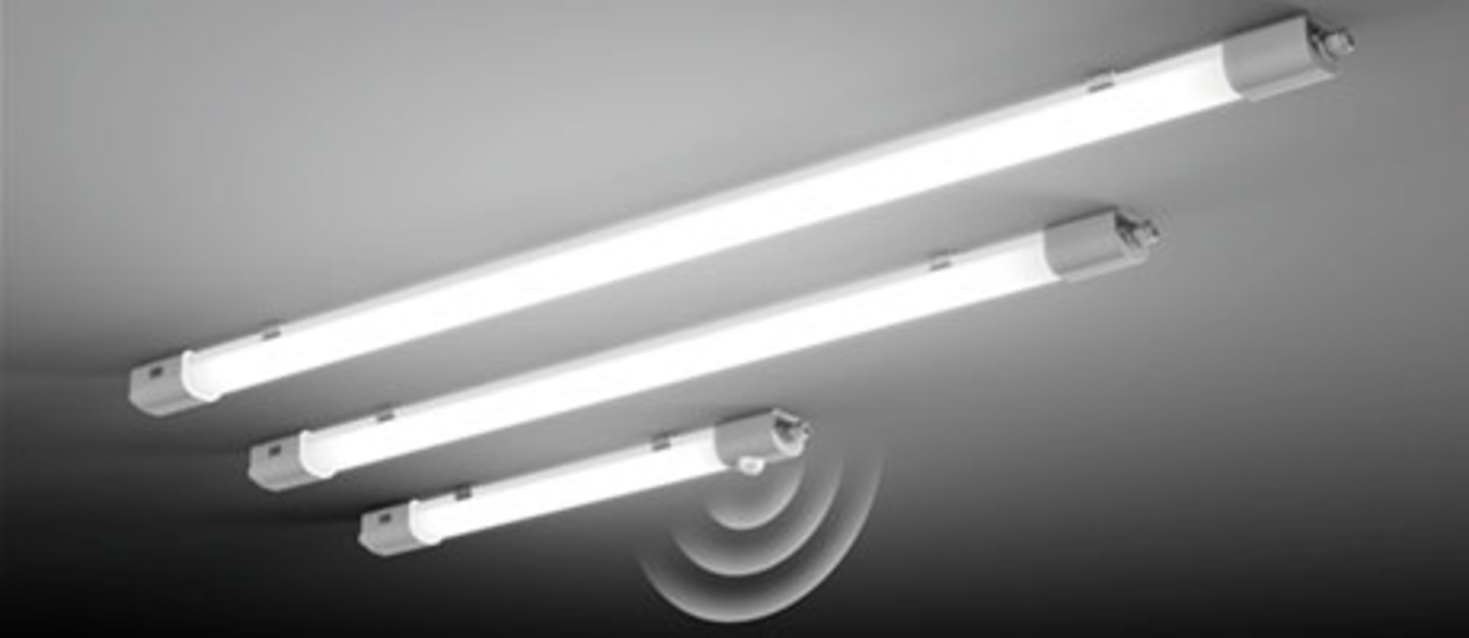 Planox Feuchtraumleuchten bei elektro wi GmbH in Pleystein