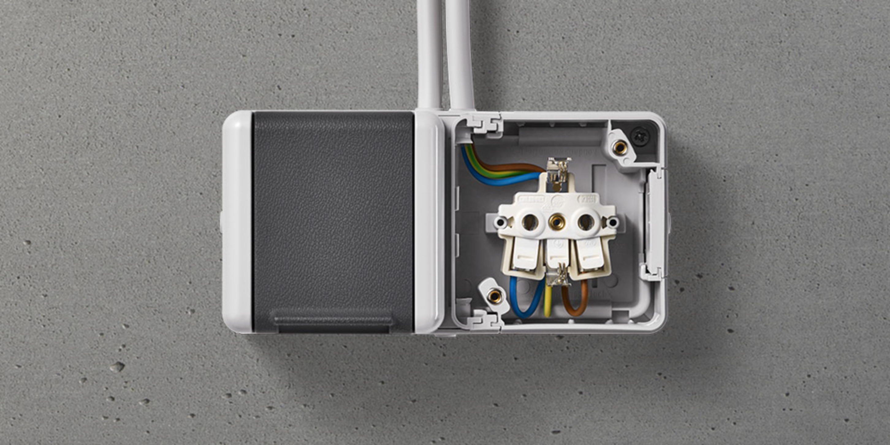 Doppelsteckdose mit Trennsteg bei elektro wi GmbH in Pleystein